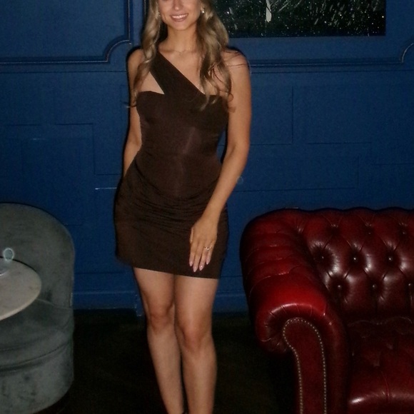 Meshki Dresses & Skirts - Meshki Mattea Dress